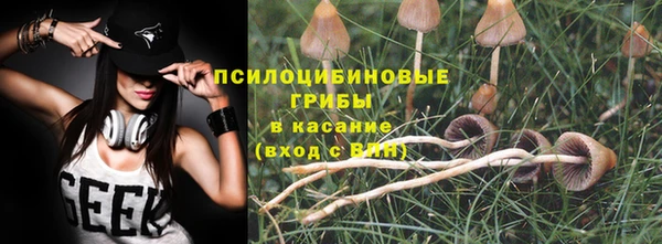 Альфа ПВП Богородск