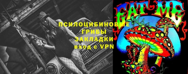 jwh Богородицк